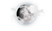 Contact Us - Copy of 09 - Local Area Map-weather icon